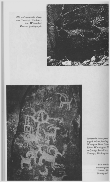 rock art of the american indian. vist0084r